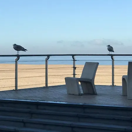 Allure, Met Zuidgericht Tuintje Ostend