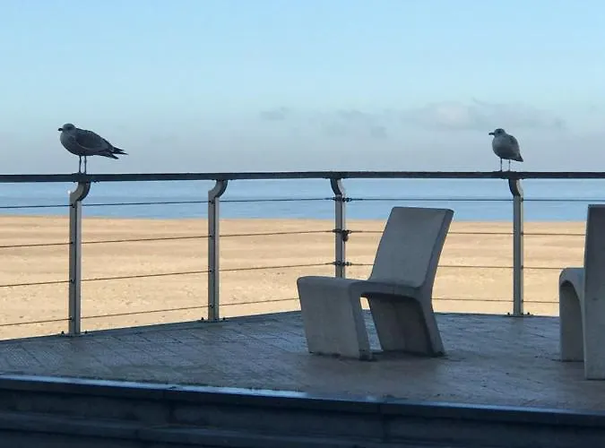 Allure, Met Zuidgericht Tuintje אוסטנדה